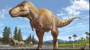Ilustração de como seria o Tyrannosaurus mcraeensis, espécie próxima ao Tyrannosaurus rex - Divulgação/Sergei Krasinski
