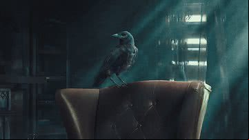 Corvo mostrado na série 'A Queda da Casa de Usher', da Netflix - Divulgação/Netflix