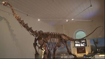 Registro do dinossauro Maxakalisaurus - GeoPotinga