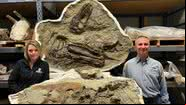 O fóssil de um Gorgossaurus - Royal Tyrell Museum of Paleontology