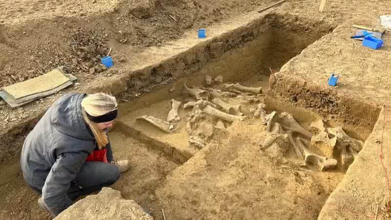 Ossos de mamutes de 25 mil anos são descobertos na Áustria - Divulgação/ÖAW-ÖAI