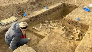 Ossos de mamutes de 25 mil anos são descobertos na Áustria - Divulgação/ÖAW-ÖAI
