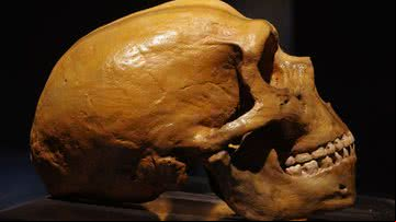 Crânio de Neandertal - Getty Images