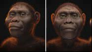 Reconstrução facial de Lucy - Divulgação/Cicero Moraes