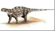 Ilustração representando um Gobisauro, outra espécie de dinossauro com cauda de clava - Divulgação/Sydney Mohr