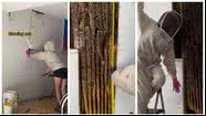 Homem descobre 80 mil abelhas na garagem de casa - Reprodução/Instagram