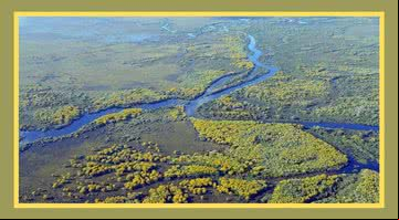 Pantanal, cenário de vida natural, novelas e documentários é um dos principais biomas brasileiros - Créditos: Reprodução / Pixabay