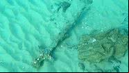 Fotografia da espada medieval quando descoberta no Mar Mediterrâneo, em Israel - Reprodução/Facebook/Autoridade de Antiguidades de Israel
