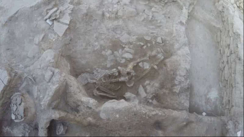 Esqueleto da vítima da tsunami há cerca de 3600 anos atrás - Divulgação / Vasıf Şahoğlu