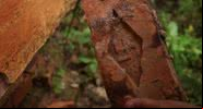 Imagem mostrando um dos tijolos citados - Divulgação/Vídeo/Youtube/Folha