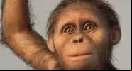 Imagem ilustrativa de um ancestral humano bebê - Divulgação