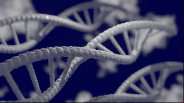 Imagem ilustrativa de DNA - Foto de Mahmoud-Ahmed, via Pixabay