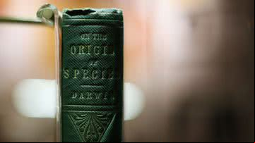 Imagem ilustrativa do livro 'A Origem das Espécies' de Charles Darwin - Getty Images