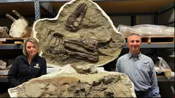 Pesquisadores com o fóssil do gorgossauro - Museu Real Tyrrell de Paleontologia